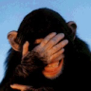 Meet your Posher, Bruce